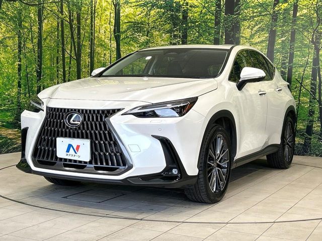 TOYOTA LEXUS NX350H 2023 Image 31