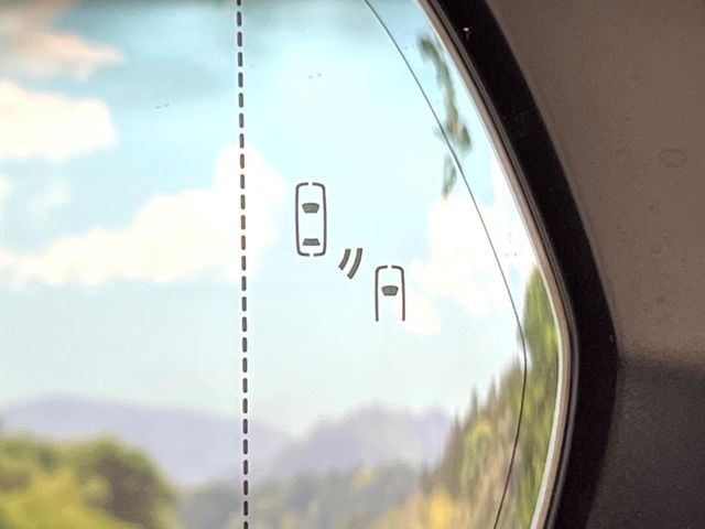 TOYOTA LEXUS RX500H 2023 Image 31