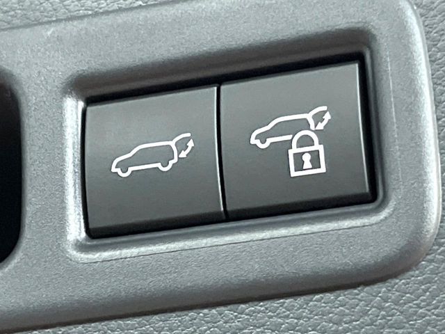 TOYOTA LEXUS RX500H 2023 Image 31