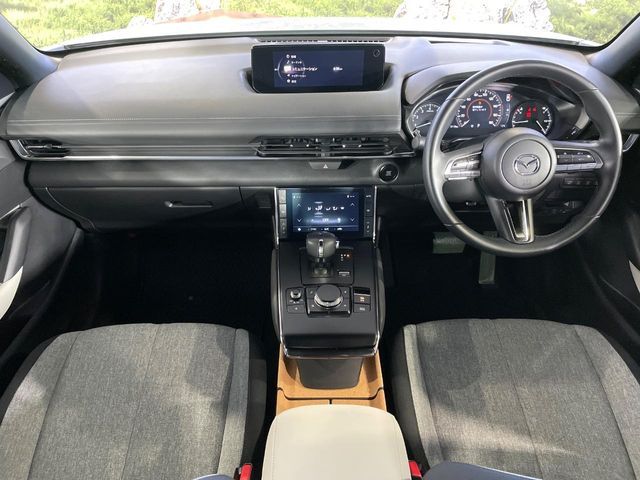 MAZDA MX-30 2020 Image 31