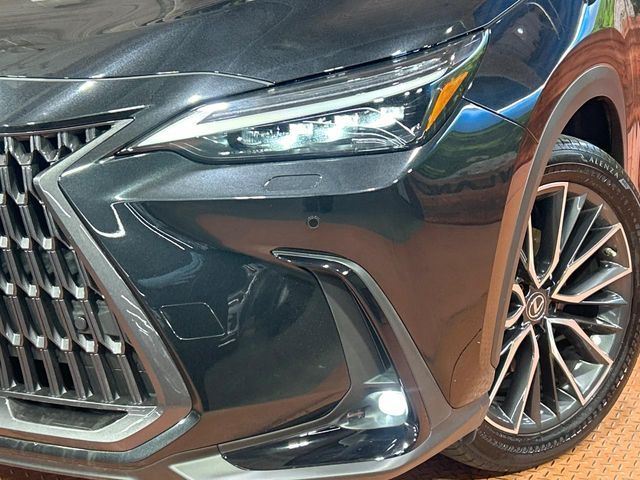 TOYOTA LEXUS NX350H 2023 Image 31