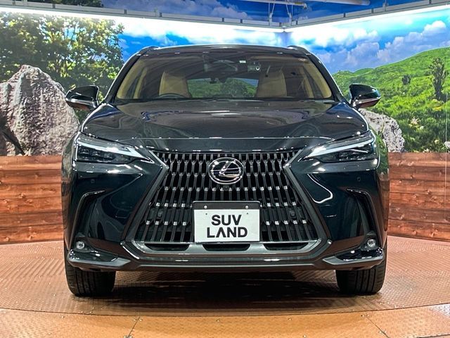 TOYOTA LEXUS NX350H 2023 Image 31
