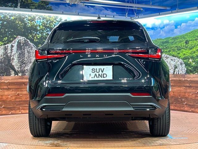 TOYOTA LEXUS NX350H 2023 Image 31