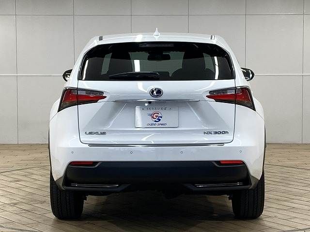 TOYOTA LEXUS NX300H 2015 Image 31