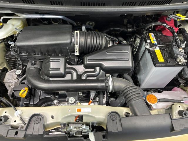 DAIHATSU TAFT 2024 Image 31