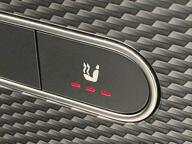 MERCEDES BENZ A CLAS 2019 Image 31