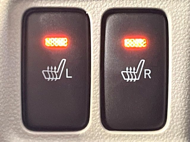 DAIHATSU CAST STYLE 2019 Image 31