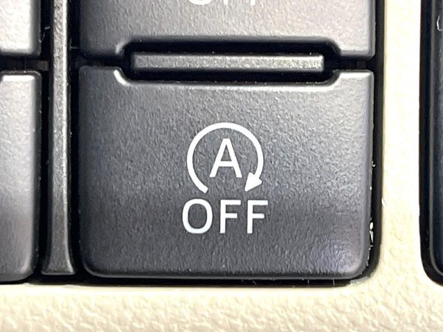 DAIHATSU CAST STYLE 2019 Image 31