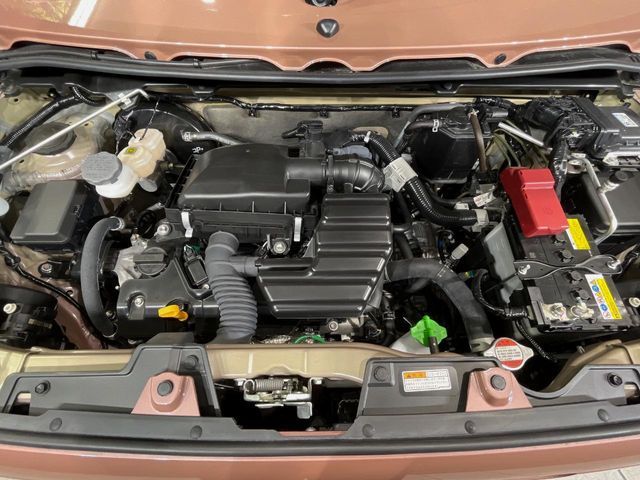 SUZUKI ALTO LAPIN 2024 Image 31