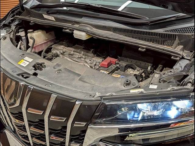 TOYOTA ALPHARD 2019 Image 31