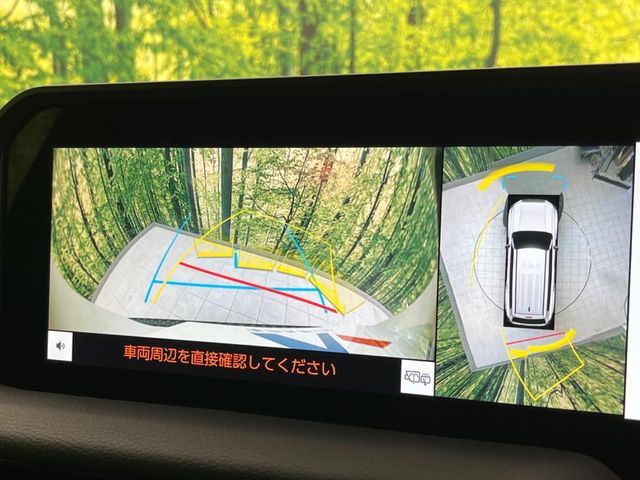 TOYOTA LANDCRUISER 250 2024 Image 31