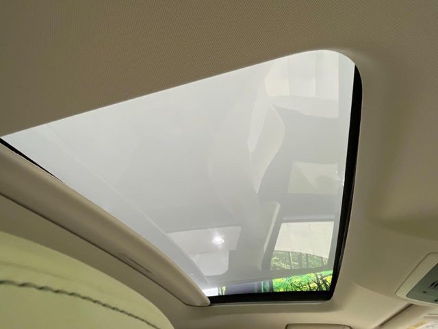 TOYOTA LEXUS NX300H AWD 2019 Image 31