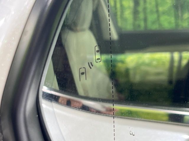 TOYOTA LEXUS NX300H AWD 2019 Image 31