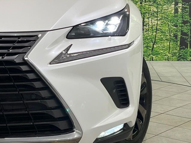 TOYOTA LEXUS NX300H AWD 2019 Image 31
