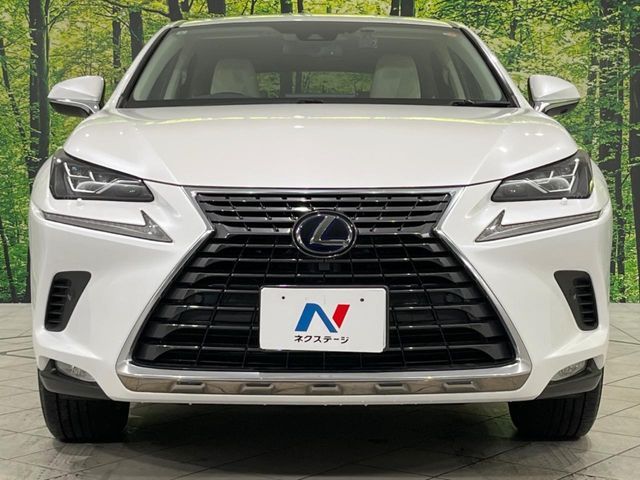 TOYOTA LEXUS NX300H AWD 2019 Image 31