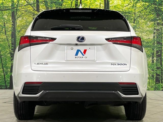 TOYOTA LEXUS NX300H AWD 2019 Image 31