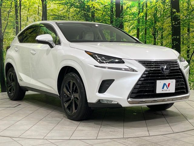 TOYOTA LEXUS NX300H AWD 2019 Image 31