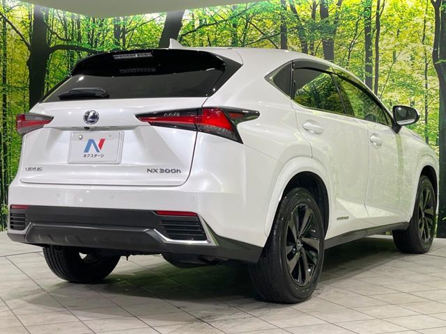 TOYOTA LEXUS NX300H AWD 2019 Image 31