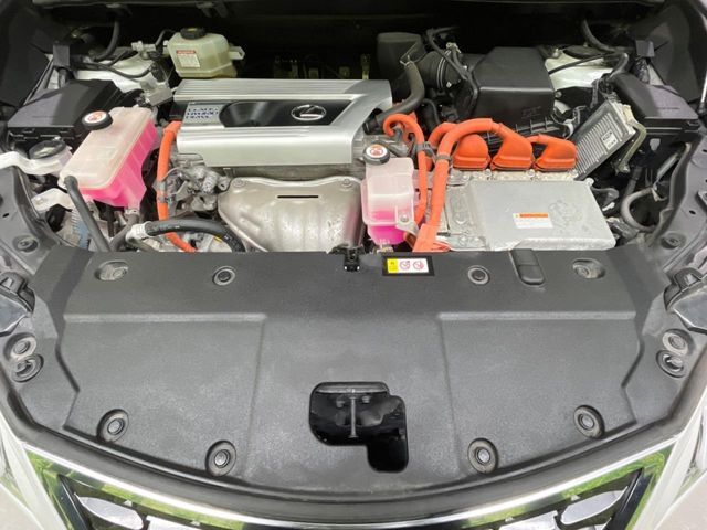 TOYOTA LEXUS NX300H AWD 2019 Image 31