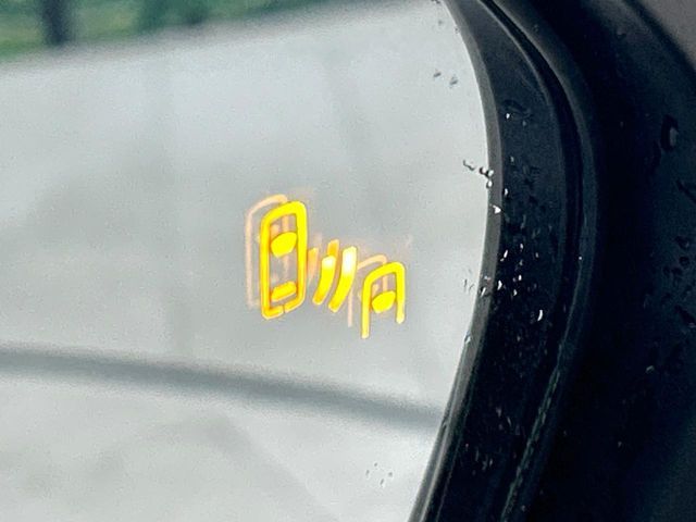 TOYOTA C-HR 2017 Image 31