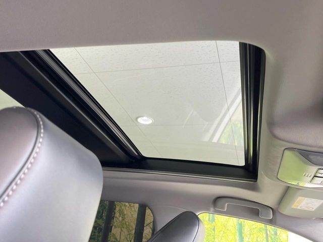 TOYOTA RAV4 HYBRID 4WD 2019 Image 31