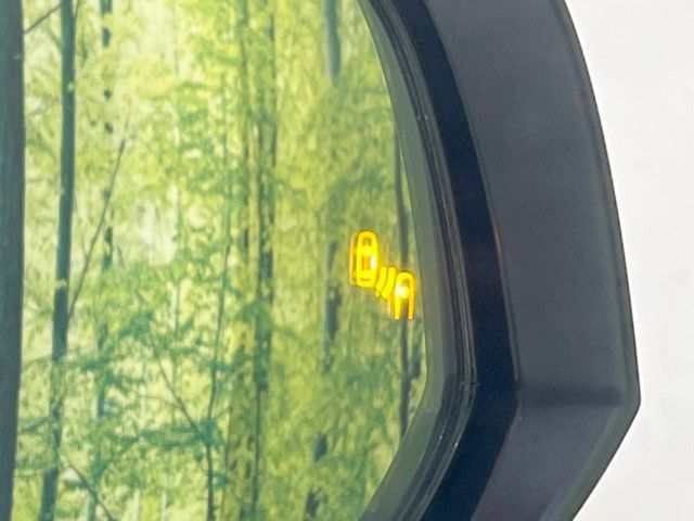 TOYOTA RAV4 HYBRID 4WD 2019 Image 31