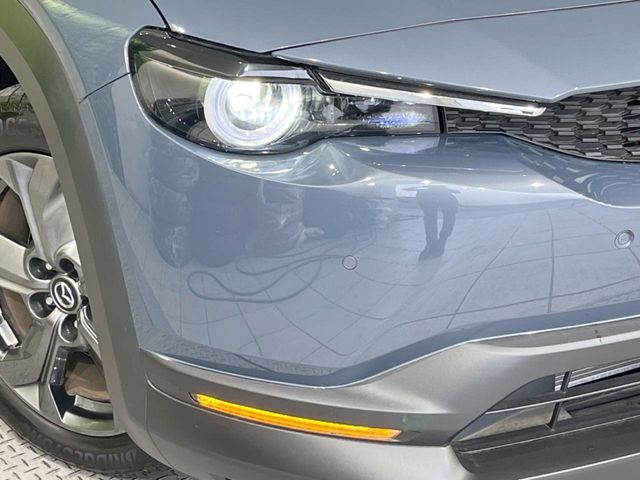 MAZDA MX-30 2022 Image 31