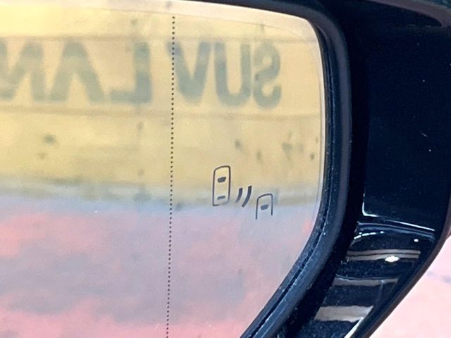 TOYOTA LEXUS UX250H 2021 Image 31