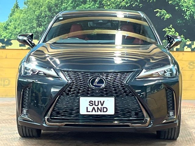 TOYOTA LEXUS UX250H 2021 Image 31