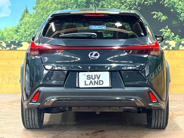 TOYOTA LEXUS UX250H 2021 Image 31