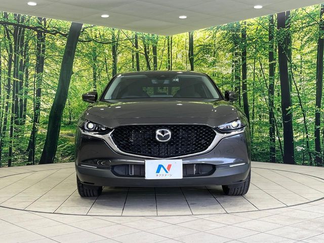 MAZDA CX-30 2020 Image 31