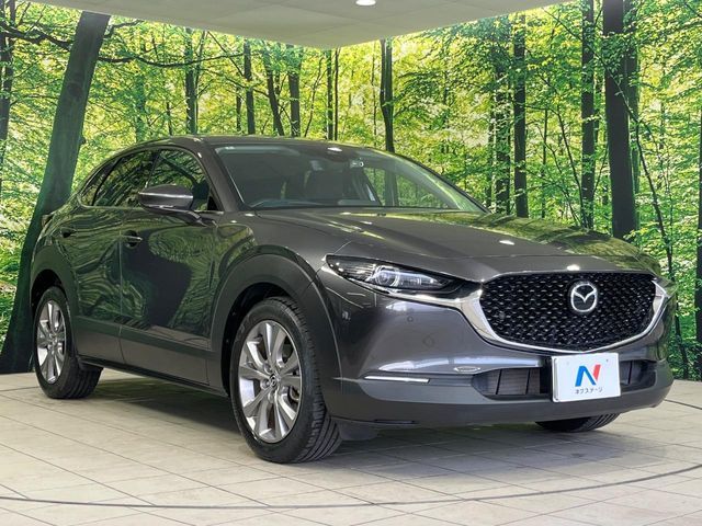 MAZDA CX-30 2020 Image 31