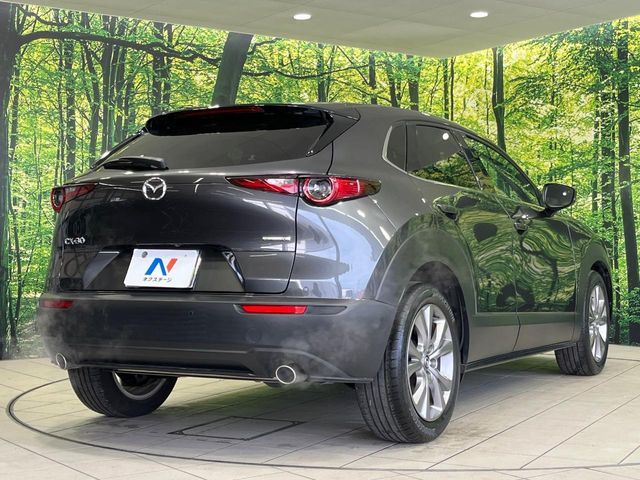 MAZDA CX-30 2020 Image 31