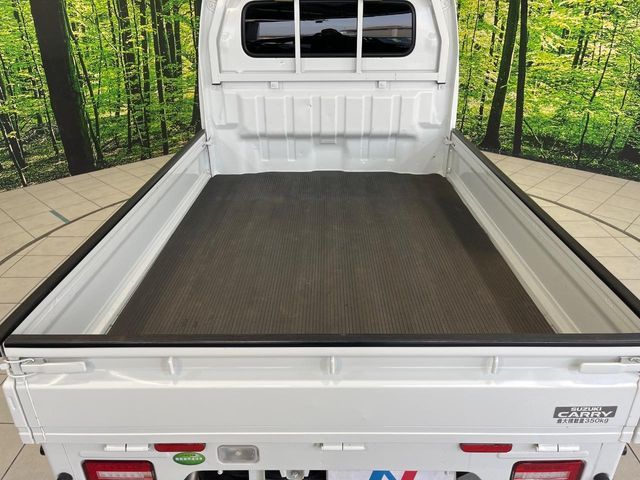 SUZUKI CARRY TRUCK 2019 Image 31