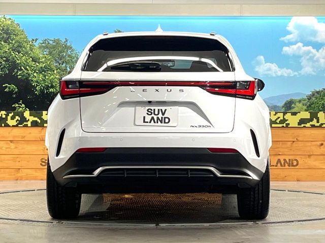 TOYOTA LEXUS NX350H 2023 Image 31