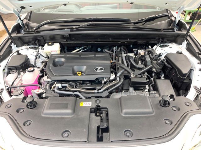 TOYOTA LEXUS NX350H 2023 Image 31