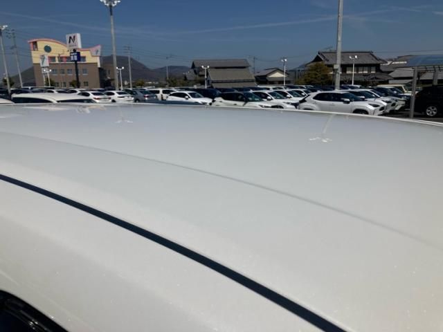 TOYOTA ALPHARD 2021 Image 31