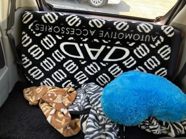 SUZUKI WAGON R 2009 Image 31