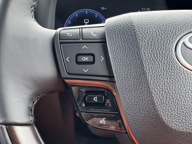 TOYOTA ALPHARD 2025 Image 31