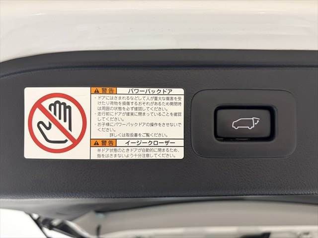 TOYOTA ALPHARD 2018 Image 31