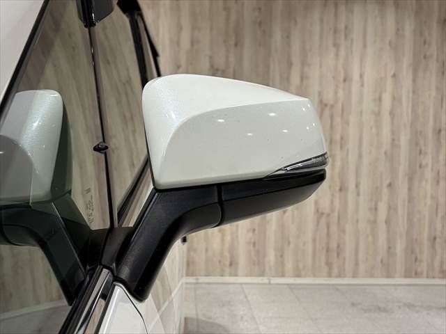 TOYOTA ALPHARD 2018 Image 31