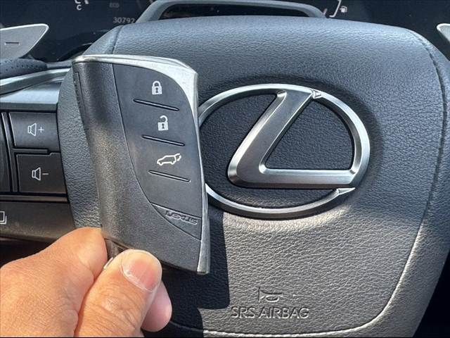 TOYOTA LEXUS RX350 AWD 2023 Image 31