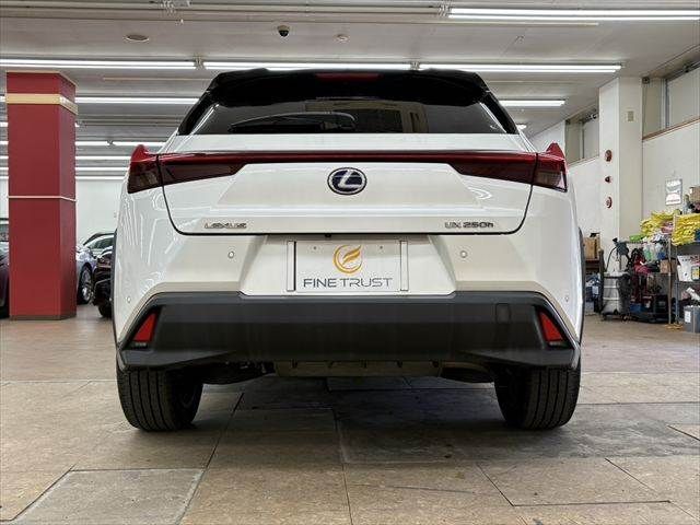 TOYOTA LEXUS UX250H 2021 Image 31