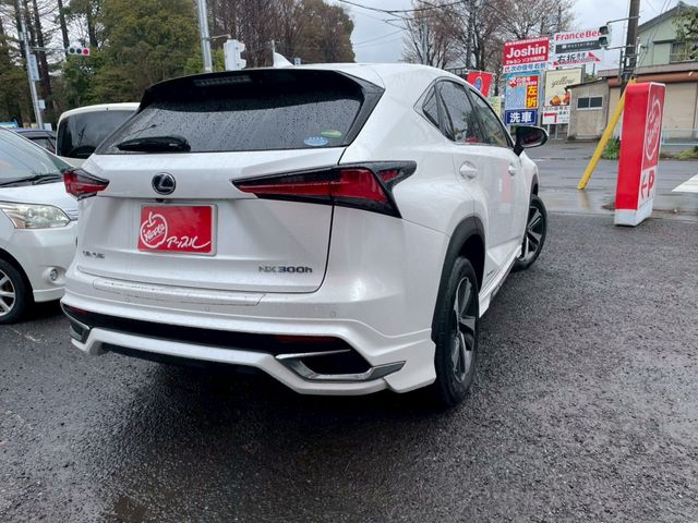 TOYOTA LEXUS NX300H 2019 Image 31