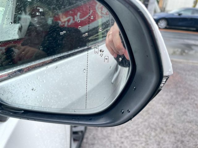 TOYOTA LEXUS NX300H 2019 Image 31