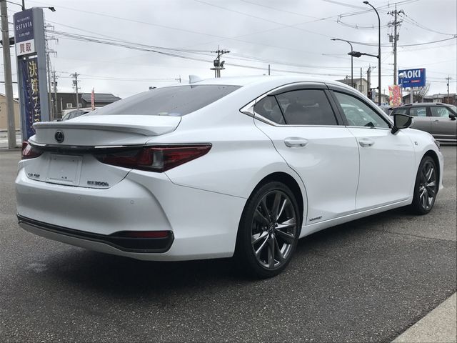 TOYOTA LEXUS ES300H 2019 Image 31
