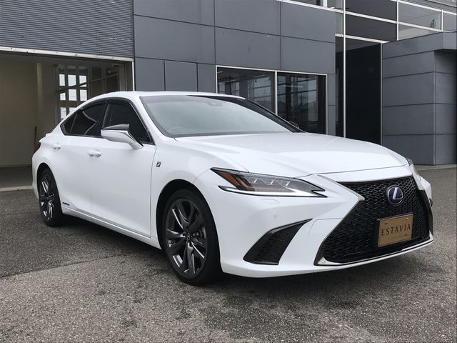 TOYOTA LEXUS ES300H 2019 Image 31