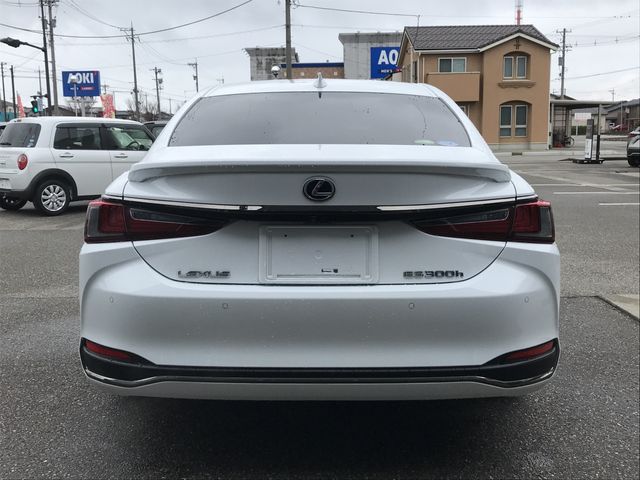 TOYOTA LEXUS ES300H 2019 Image 31