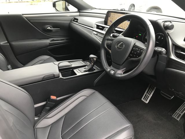 TOYOTA LEXUS ES300H 2019 Image 31
