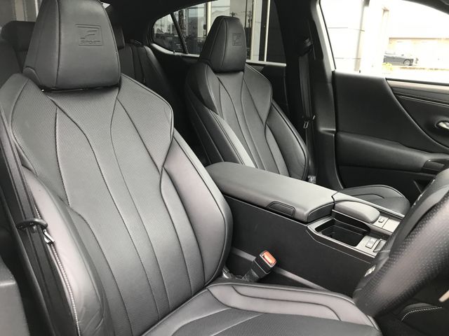 TOYOTA LEXUS ES300H 2019 Image 31